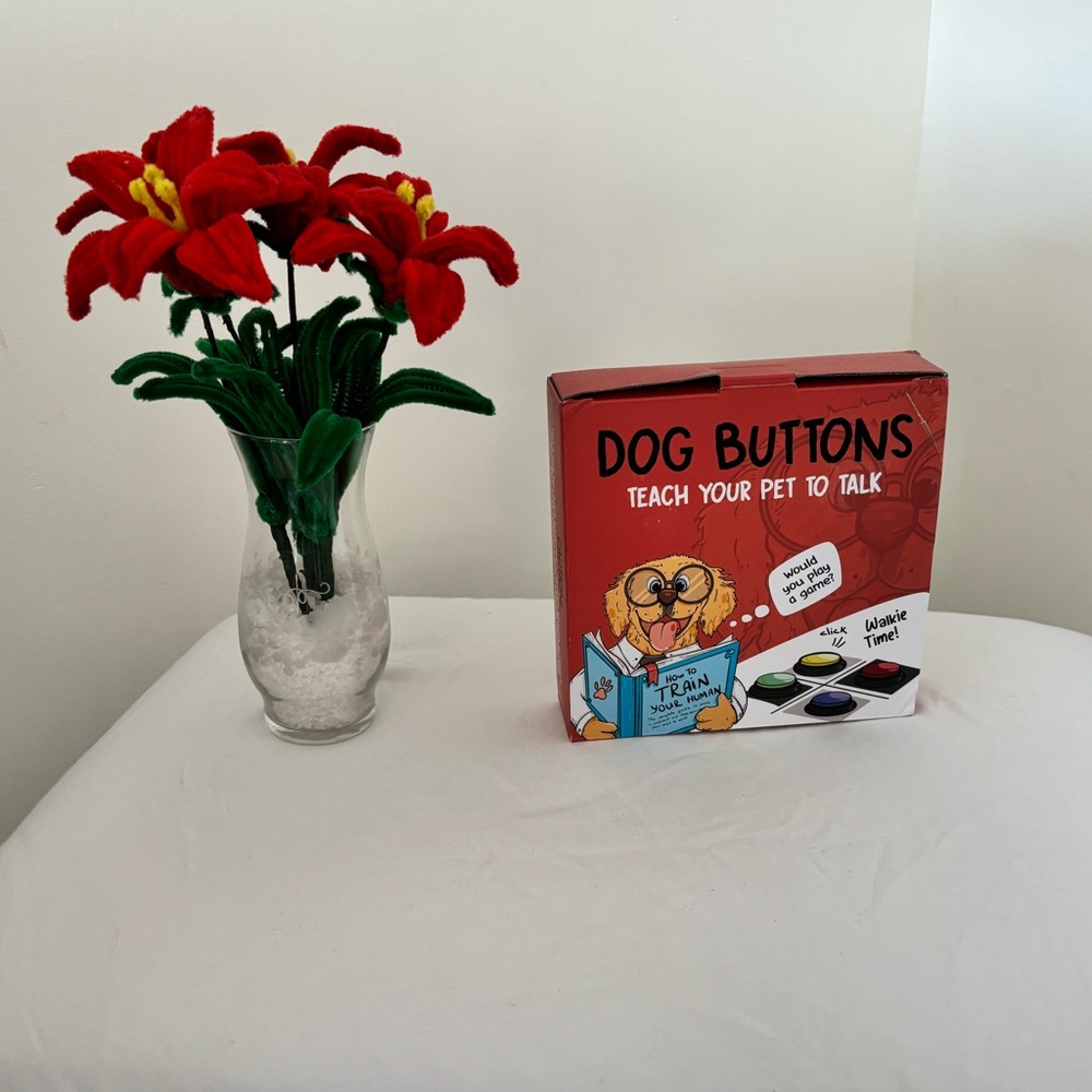 Dog Buttons - Teach Your Pet to Talk - Red